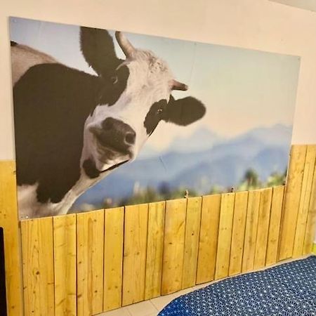 Le Depot Studio Du Petit Port Champvert ภายนอก รูปภาพ